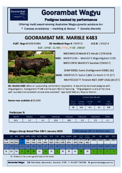 Mr_Marble_K483_USA.pdf